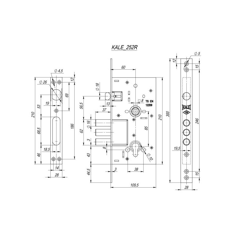 KALE_252R